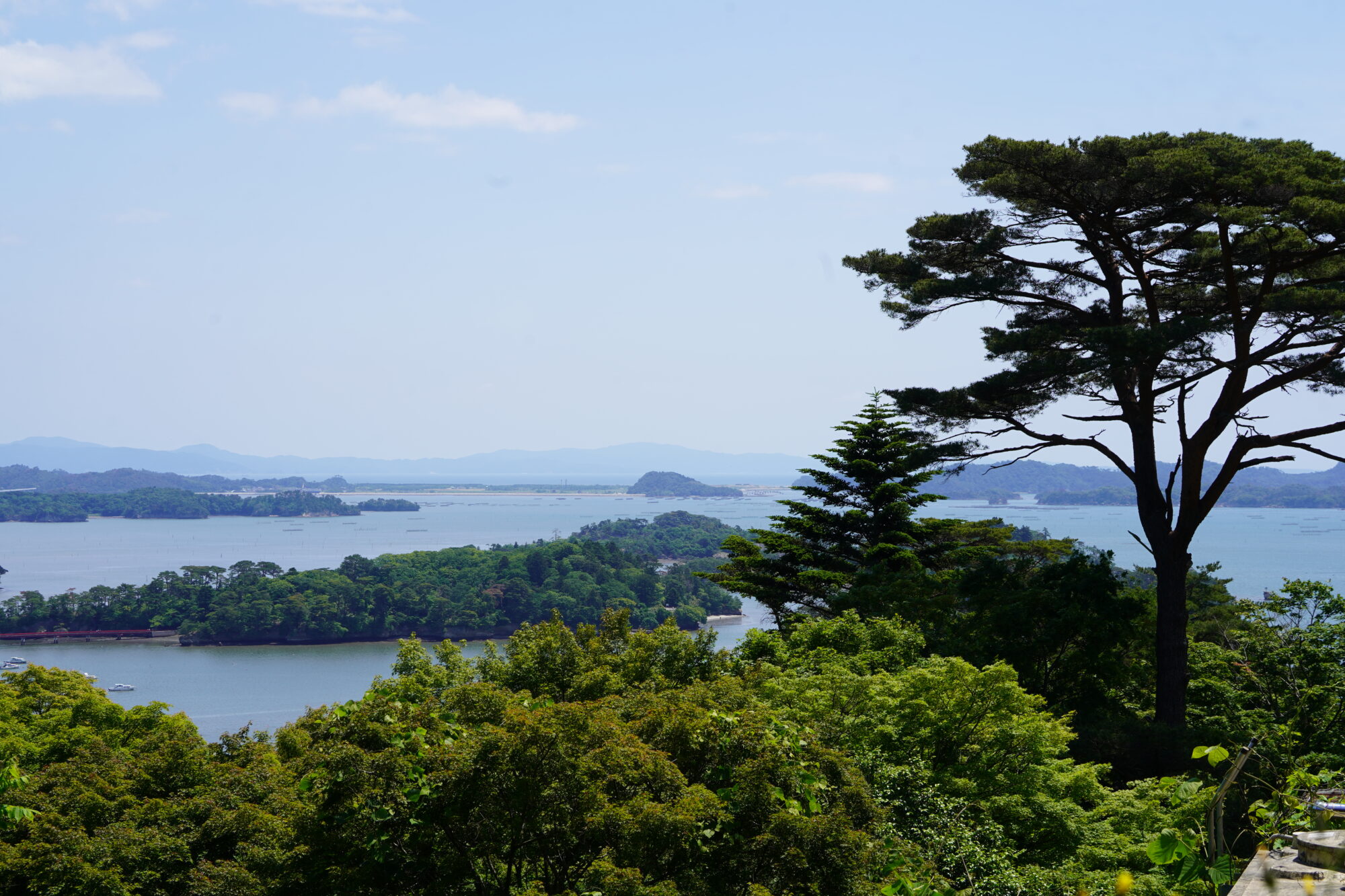 令和7年度予算要求から読み解く 最新補助金トレンドと今できる準備