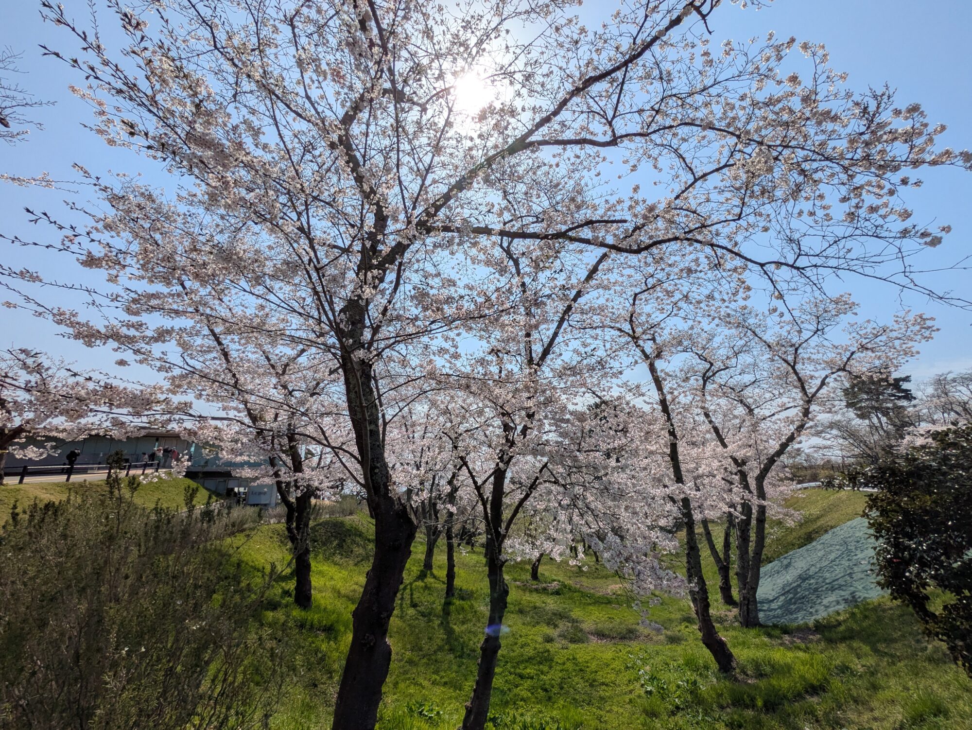 人材採用・育成の助成金が充実！ 中小企業向け助成金を解説