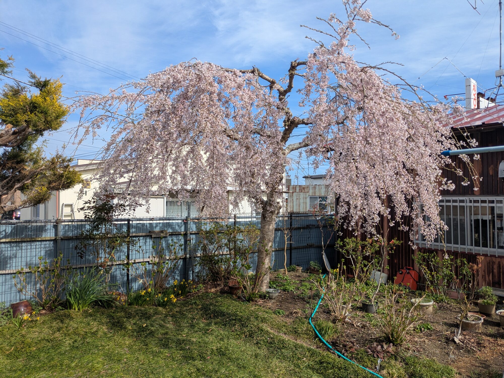 補助金だけじゃない！中小企業支援制度の賢い活用法 ― GビズIDのログイン方法が変更されました ―