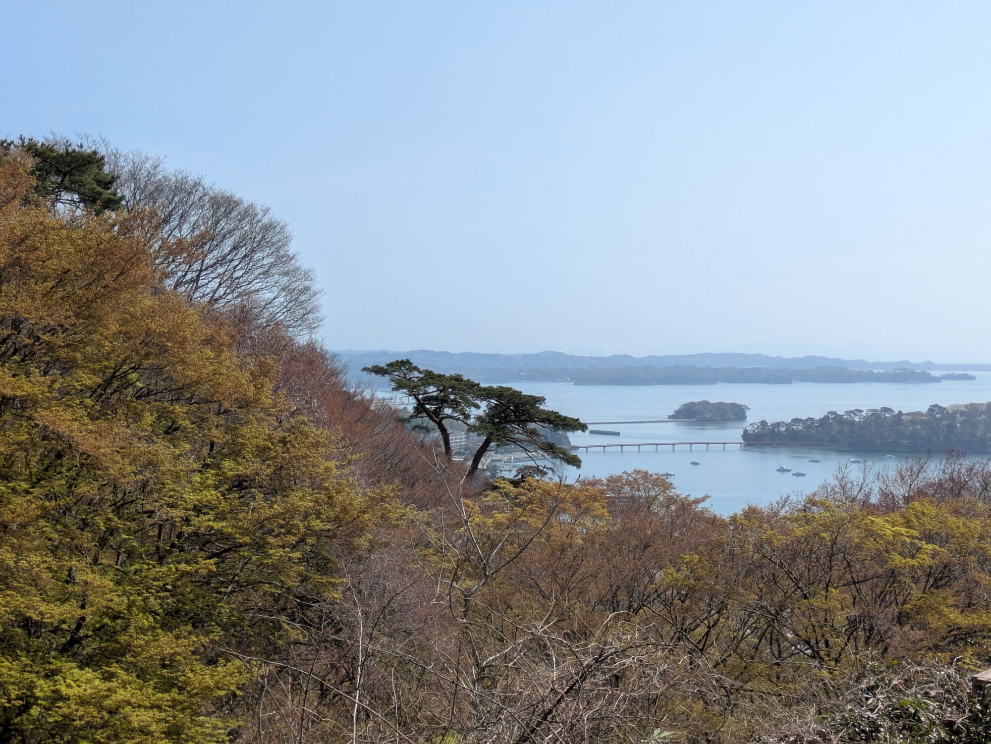 資金調達の『先』を支える新制度 『モニタリング強化型特別保証』のご案内